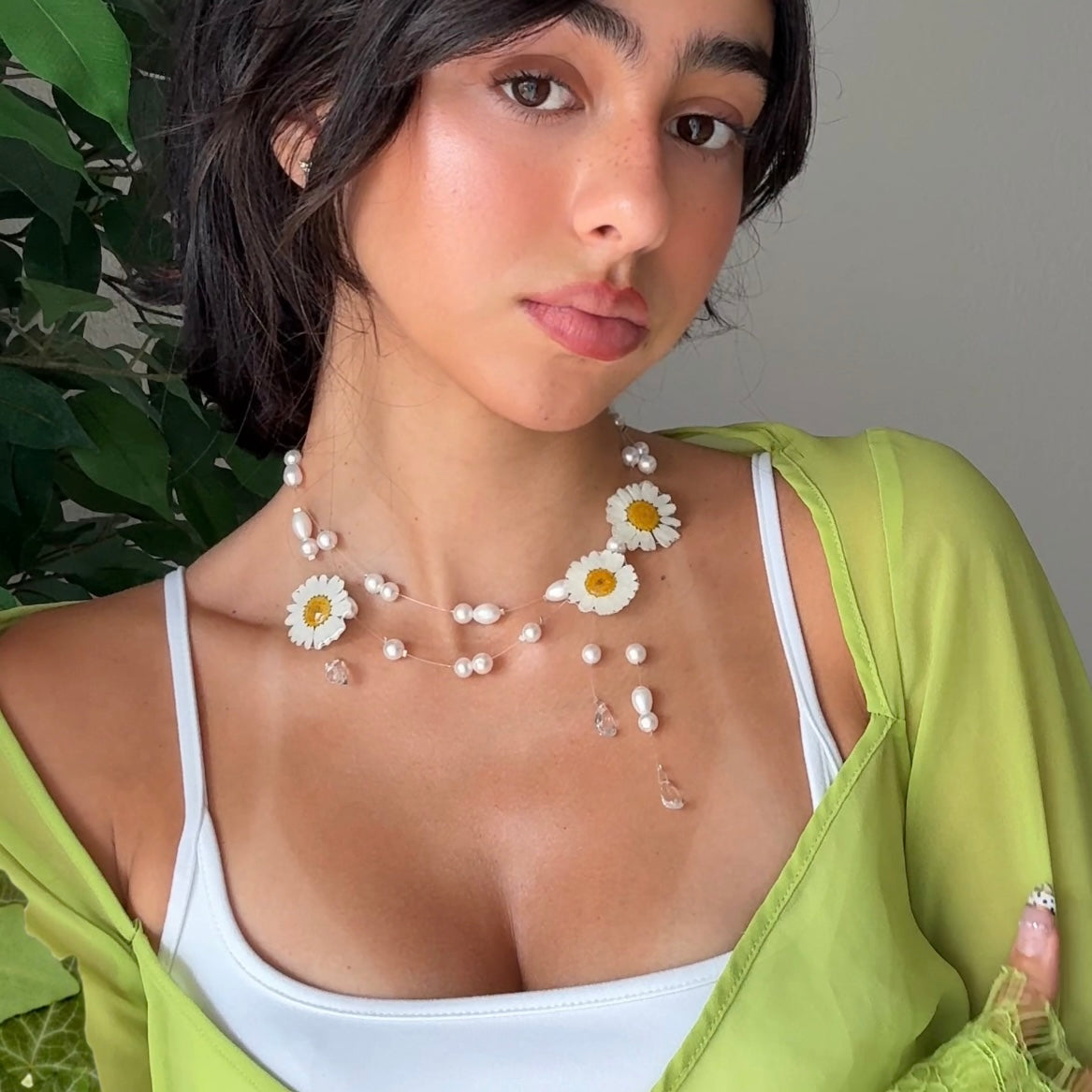 Temporada de Margaritas 🌼