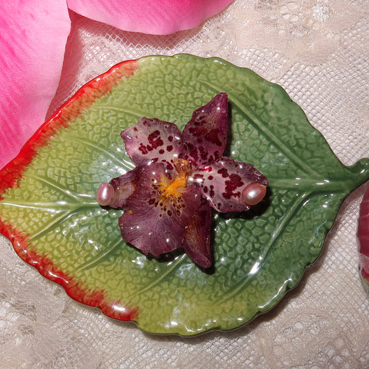 Lula Pearl
