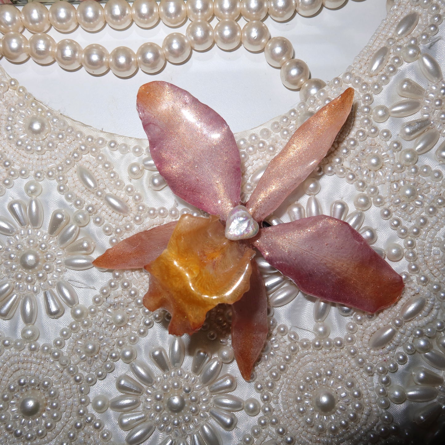 Clip Orchid Rainbow🧚🏼