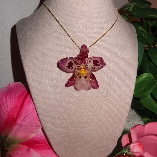 Eternal Petal