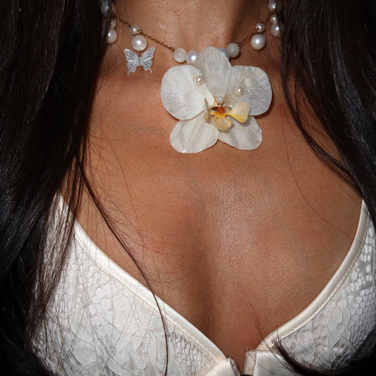 Mariposita Blanca