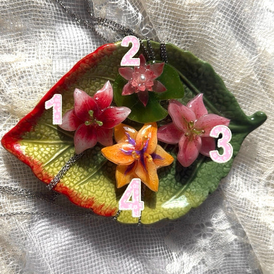 My Little Garden🌷🐝