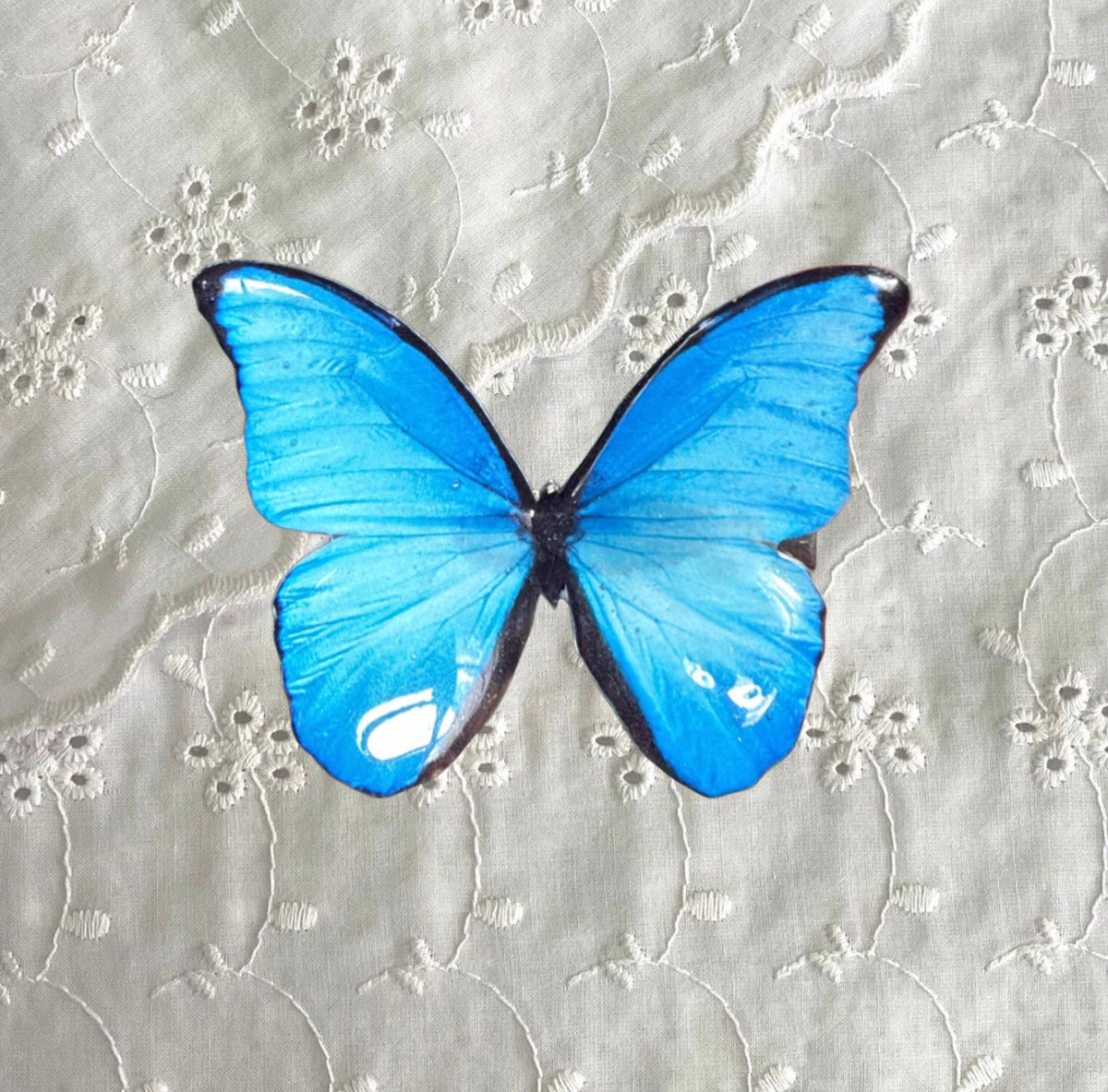 Blue Butterfly Hair Clip